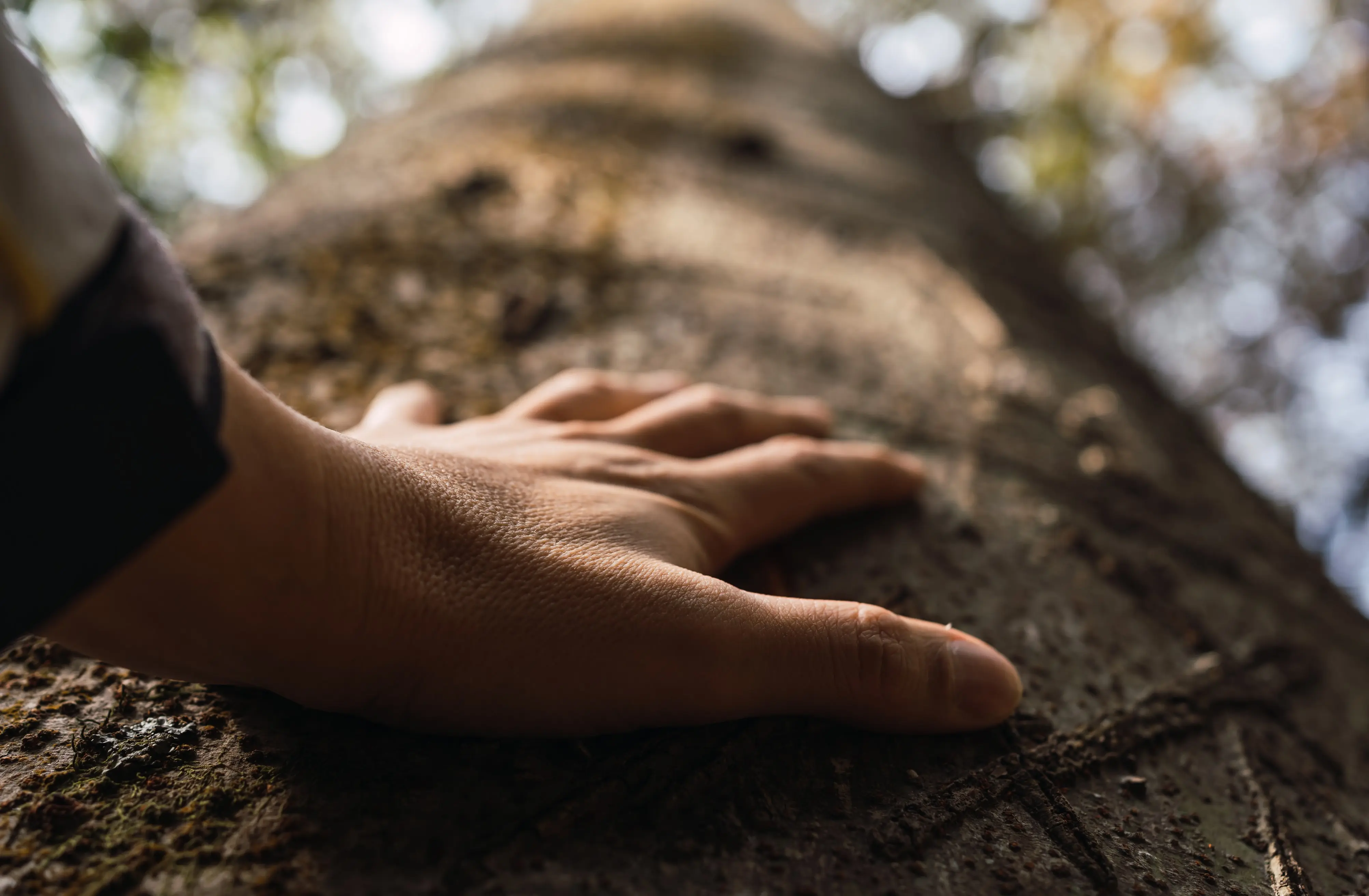 Matériaux nobles français